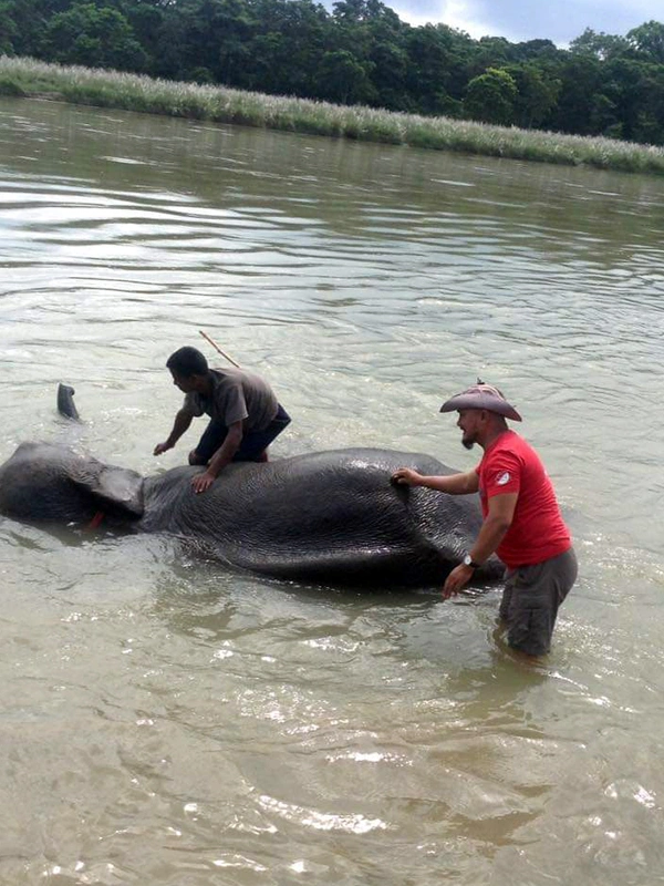 Jungle Safari in Nepal
