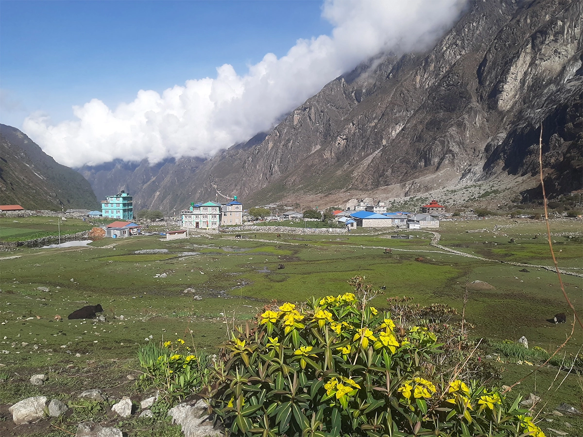 Langtang Valley Trek