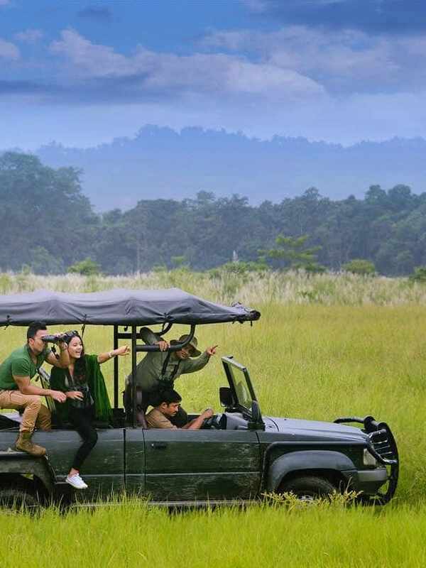 Jungle Safari Tours