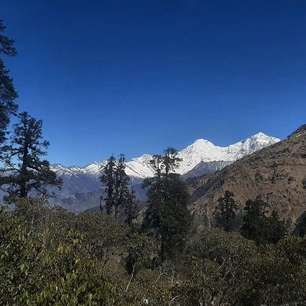 Singla Pass Trek